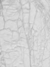 Dermatoloog Caroline De Wulf
